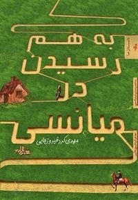 به هم رسیدن در میانسی