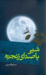 شبی با صدای زنجزه
