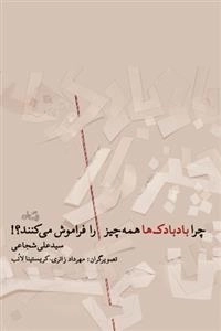 چرا بادبادک ها همه چیز را فراموش می کنند ؟