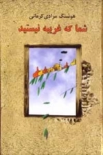 شما که غریبه نیستید