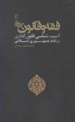 فقه و قانون گذاری