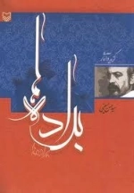 براده ها : گزیده آثار
