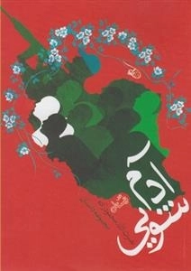 آدم شویی
