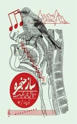 ساز حنجره و چالش های تولید صوت
