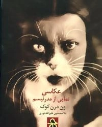 عکاسی، نمایی از مدرنیسم