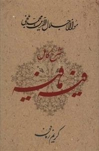 شرح کامل فیه ما فیه