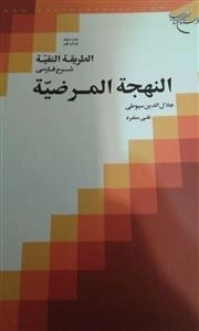 الطریقه النقیه شرح فارسی النهجه المرضیه : جلد 2