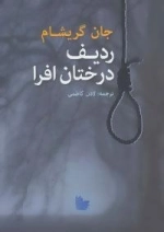 درختان افرا