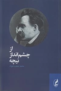 از چشم انداز نیچه