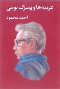 غ‍ری‍ب‍ه‌ه‍ا و پ‍س‍رک‌ ب‍وم‍ی‌