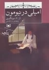 امیلی در نیومون :کتاب اول