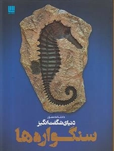 دانشنامه مصور سنگواره ها