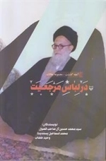 آنچه گذشت مجموعه مقالات: در لباس مرجعیت