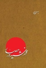 چهل حدیث (خورشید در حصار )