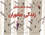 اعداد شگفت انگیز در زندگی جانوران
