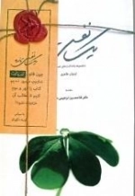 یک نفس تازه (مجموعه یادداشت های تصویری)
