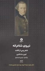 نیروی شاعرانه - شعر پس از کانت