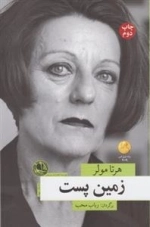 زمین پست