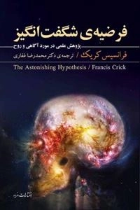 فرضیه ی شگفت انگیز