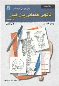 آناتومی مقدماتی بدن انسان