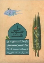 طوطی هند - برگرفته از کتاب مثنوی معنوی