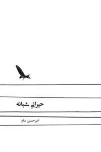 حیرانی شبانه