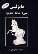 مایزلیس (تئوری بنیادی شطرنج)