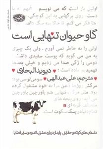 گاو حیوان تنهایی است