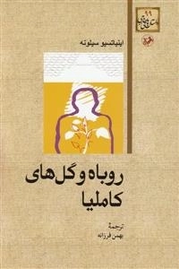روباه و گل های کاملیا
