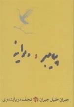 پیامبر و دیوانه