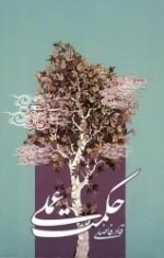 حکمت عملی