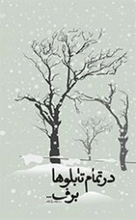 درتمام تابلوها برف