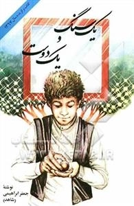 یک سنگ و یک دوست