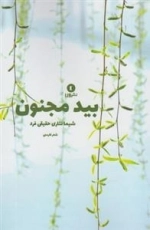 بین مجنون