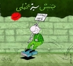 جنبش سبز مخملی : پایبندی به قانون