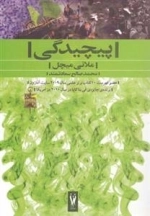 پیچیدگی
