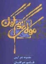 مولای گندمگون