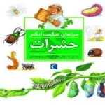 چراهای شگفت انگیز- حشرات - پاسخ به سوال های کودکان و نوجوان