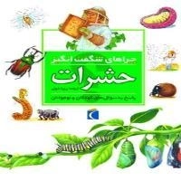 چراهای شگفت انگیز- حشرات - پاسخ به سوال های کودکان و نوجوان