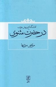 اندک گستاخ و بیش مودب در حضرت مثنوی