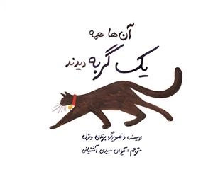 همه ی آن ها یک گربه دیدند