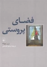 فضای پروستی