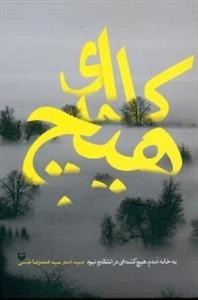 به خانه آمدم ،هیچ کلمه ای در انتظارم نبود
