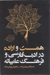 همت واراده در ادب فارسی و فرهنگ عامیانه