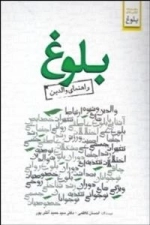 بلوغ : راهنمای والدین