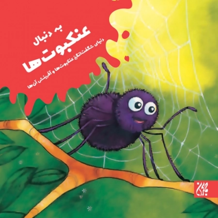 به دنبال عنکبوت ها