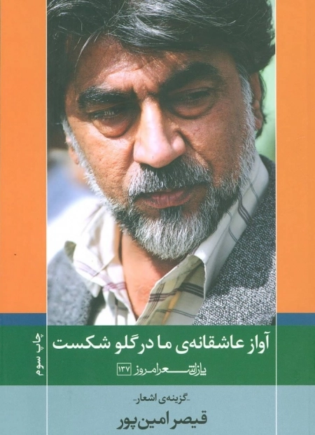 آواز عاشقانه ی ما در گلو شکست