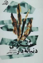 در سکوتی دنباله دار - مجموعه شعر