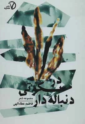 در سکوتی دنباله دار - مجموعه شعر