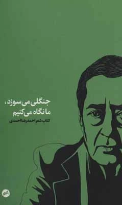 جنگلی می سوزد ما نگاه می کنیم